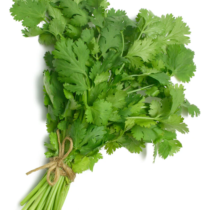 La coriande