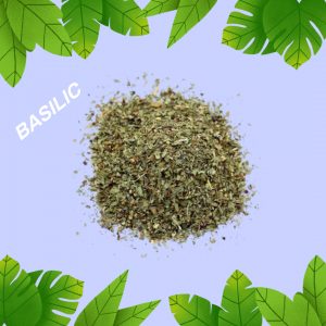 Basilic