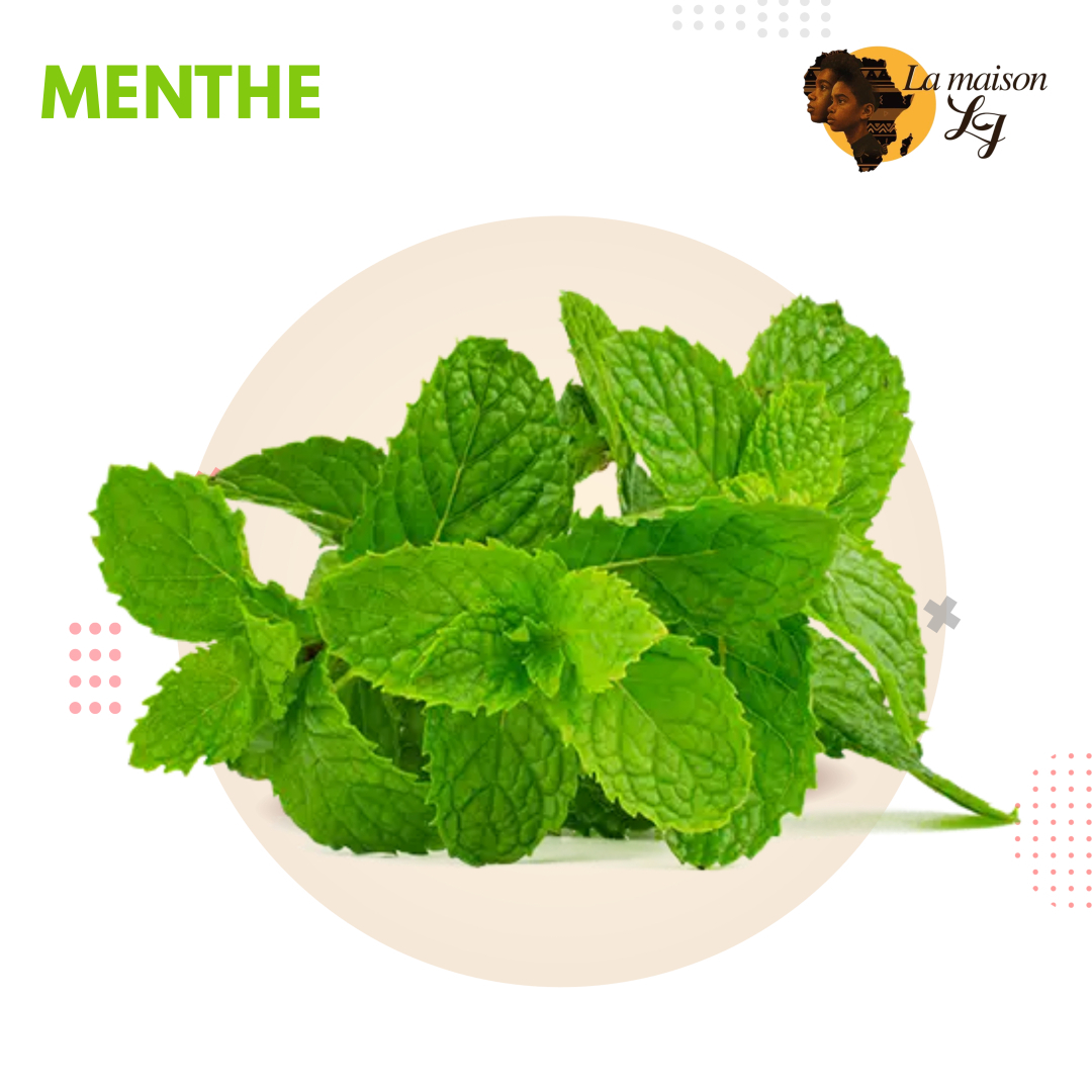 Menthe